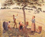 Camille Pissarro Apple picking at Eragny-sur-Epte oil painting